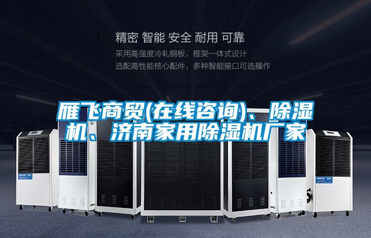 雁飛商貿(在線(xiàn)咨詢(xún))、除濕機、濟南家用除濕機廠(chǎng)家
