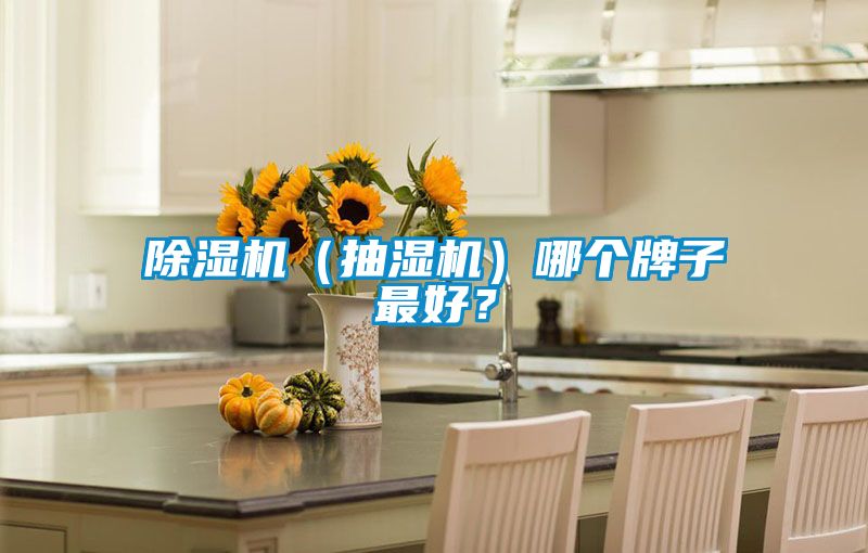 除濕機（抽濕機）哪個(gè)牌子最好？