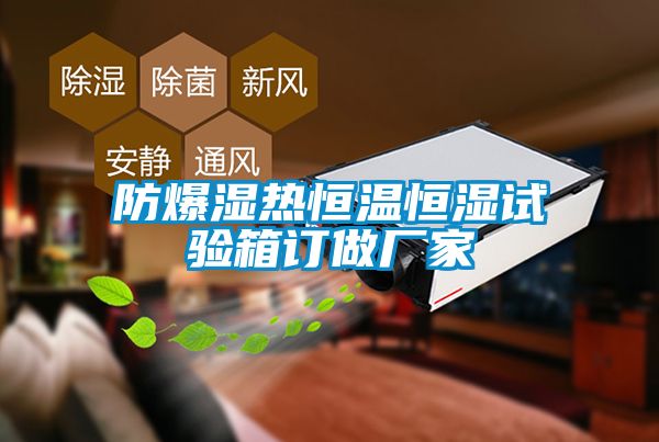 防爆濕熱恒溫恒濕試驗箱訂做廠(chǎng)家
