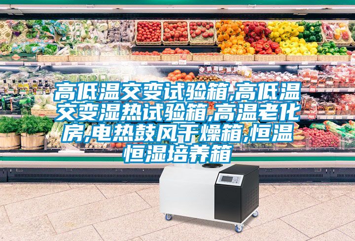高低溫交變試驗箱,高低溫交變濕熱試驗箱,高溫老化房,電熱鼓風(fēng)干燥箱,恒溫恒濕培養箱
