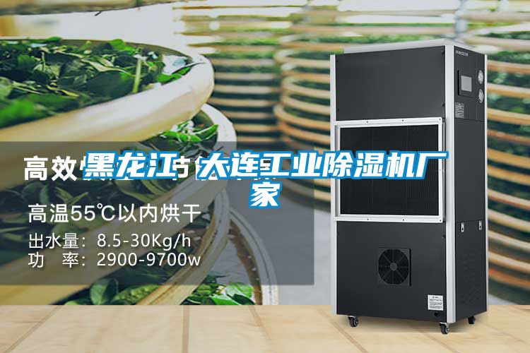 黑龍江 大連工業(yè)除濕機廠(chǎng)家
