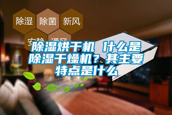 除濕烘干機 什么是除濕干燥機？其主要特點(diǎn)是什么