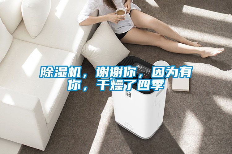 除濕機，謝謝你，因為有你，干燥了四季