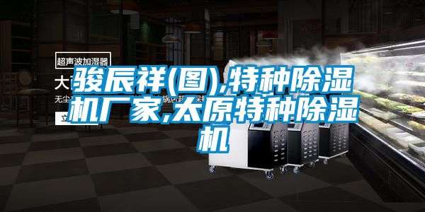 駿辰祥(圖),特種除濕機廠(chǎng)家,太原特種除濕機
