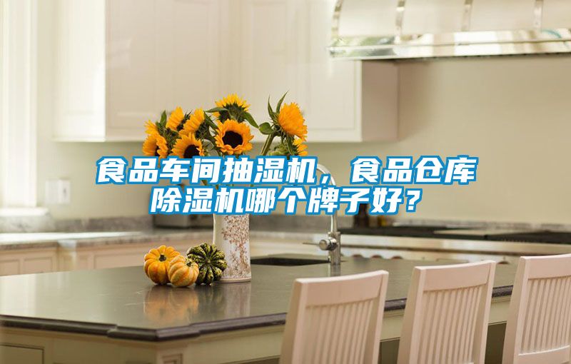 食品車(chē)間抽濕機，食品倉庫除濕機哪個(gè)牌子好？