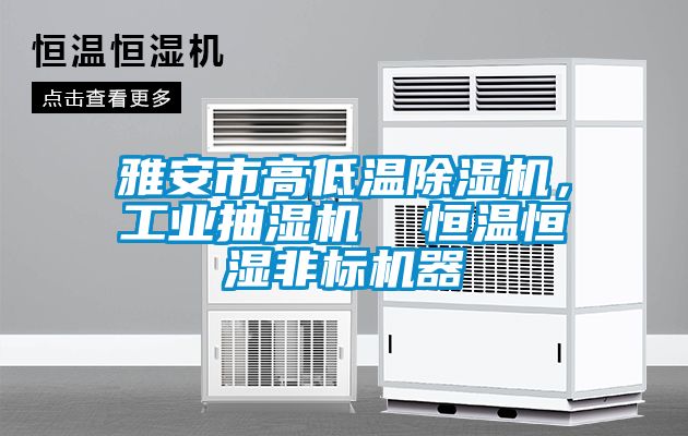 雅安市高低溫除濕機，工業(yè)抽濕機  恒溫恒濕非標機器