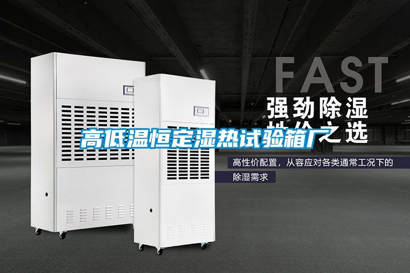 高低溫恒定濕熱試驗箱廠(chǎng)