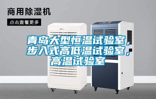 青島大型恒溫試驗室，步入式高低溫試驗室，高溫試驗室