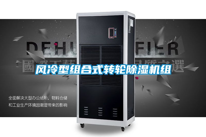 風(fēng)冷型組合式轉輪除濕機組