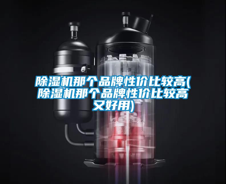除濕機那個(gè)品牌性?xún)r(jià)比較高(除濕機那個(gè)品牌性?xún)r(jià)比較高又好用)