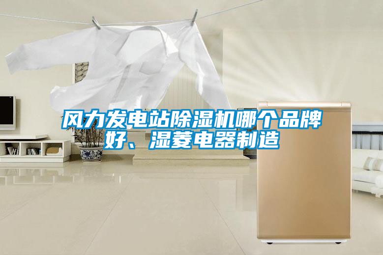 風(fēng)力發(fā)電站除濕機哪個(gè)品牌好、濕菱電器制造