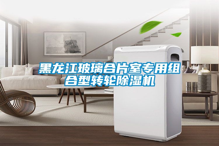 黑龍江玻璃合片室專(zhuān)用組合型轉輪除濕機