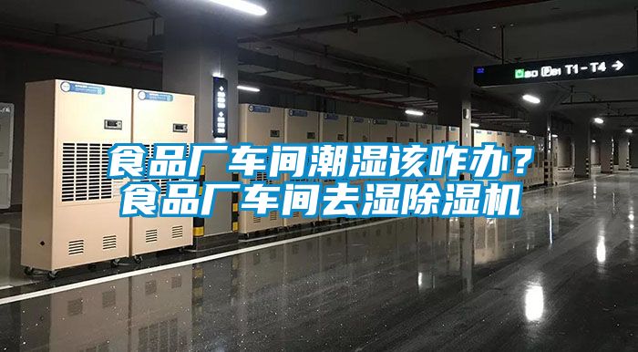 食品廠(chǎng)車(chē)間潮濕該咋辦？食品廠(chǎng)車(chē)間去濕除濕機