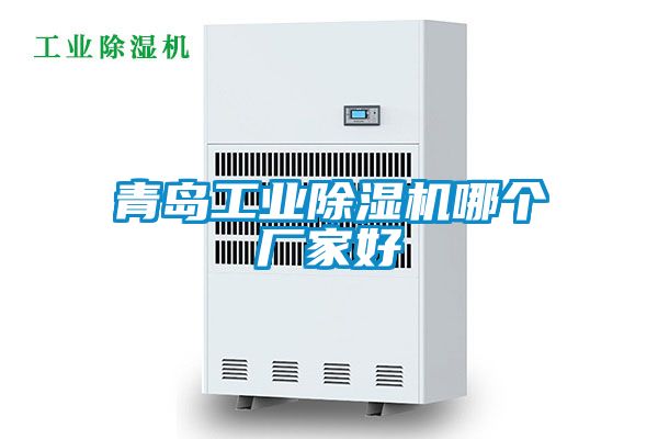 青島工業(yè)除濕機哪個(gè)廠(chǎng)家好