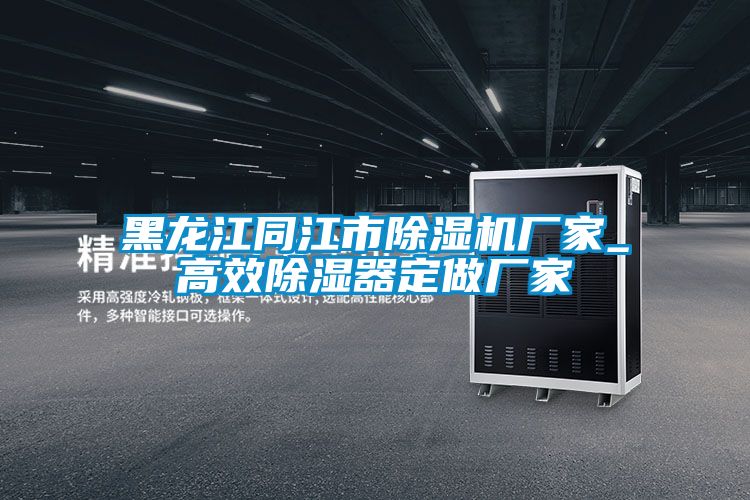 黑龍江同江市除濕機廠(chǎng)家_高效除濕器定做廠(chǎng)家