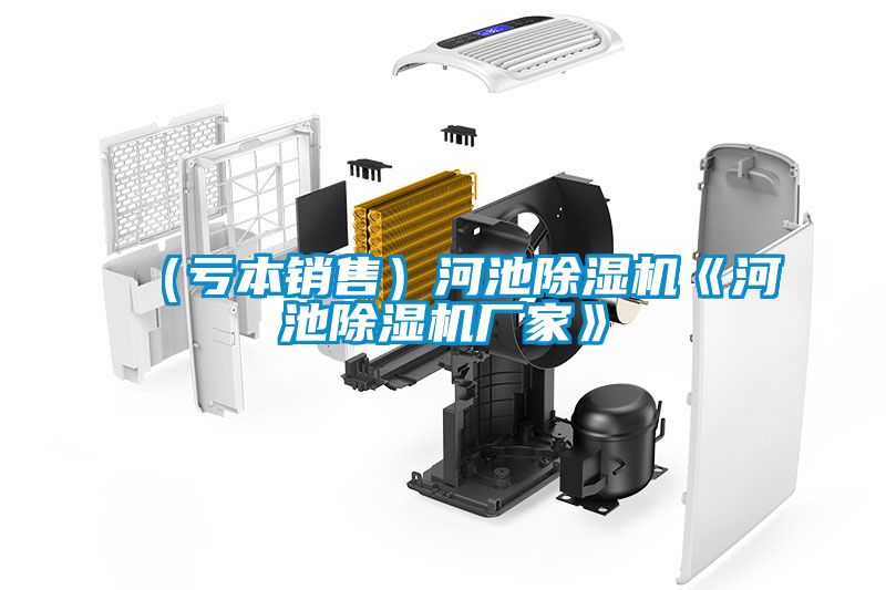 （虧本銷(xiāo)售）河池除濕機《河池除濕機廠(chǎng)家》
