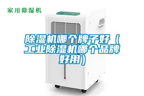 除濕機哪個(gè)牌子好（工業(yè)除濕機哪個(gè)品牌好用）
