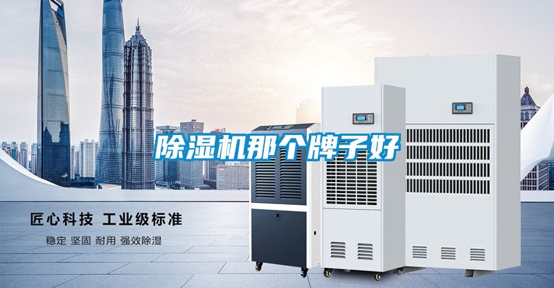 除濕機那個(gè)牌子好