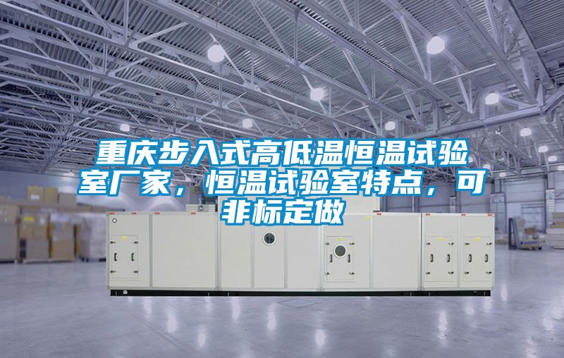 重慶步入式高低溫恒溫試驗室廠(chǎng)家，恒溫試驗室特點(diǎn)，可非標定做
