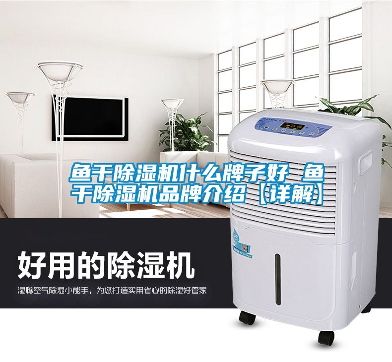 魚(yú)干除濕機什么牌子好 魚(yú)干除濕機品牌介紹【詳解】