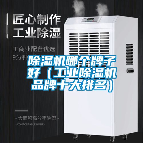 除濕機哪個(gè)牌子好（工業(yè)除濕機品牌十大排名）