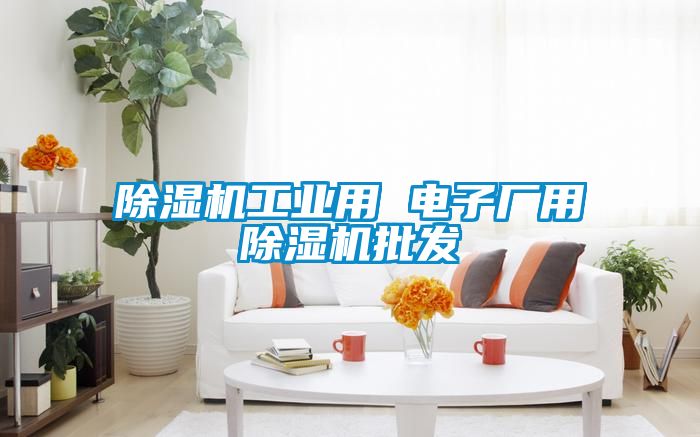 除濕機工業(yè)用 電子廠(chǎng)用除濕機批發(fā)