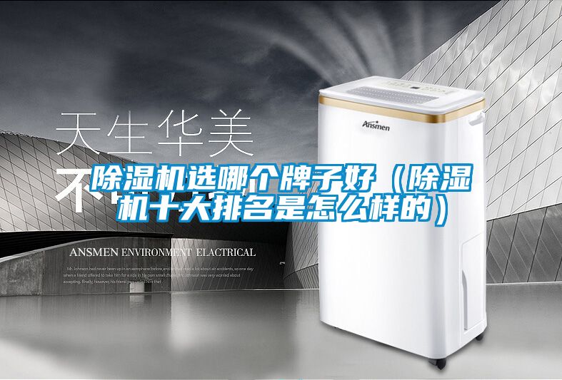 除濕機選哪個(gè)牌子好（除濕機十大排名是怎么樣的）