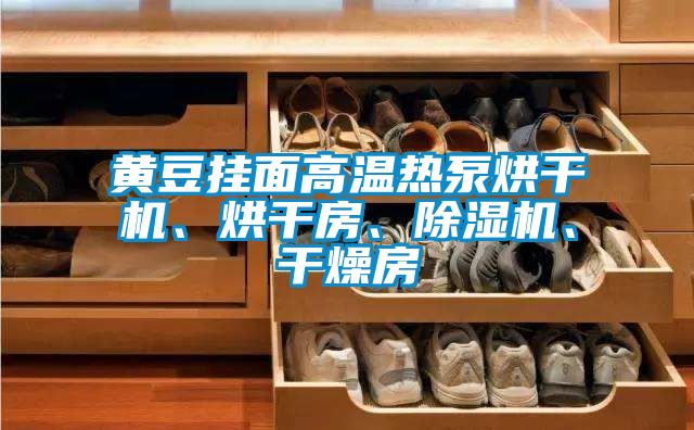 黃豆掛面高溫熱泵烘干機、烘干房、除濕機、干燥房