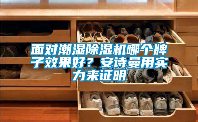 面對潮濕除濕機哪個(gè)牌子效果好？安詩(shī)曼用實(shí)力來(lái)證明