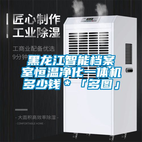 黑龍江智能檔案室恒溫凈化一體機多少錢(qián)＊「多圖」