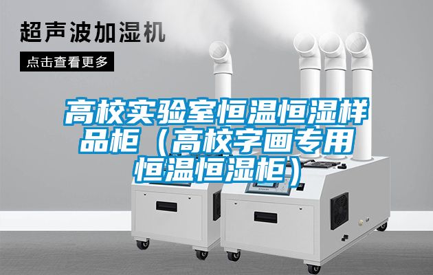 高校實(shí)驗室恒溫恒濕樣品柜（高校字畫(huà)專(zhuān)用恒溫恒濕柜）