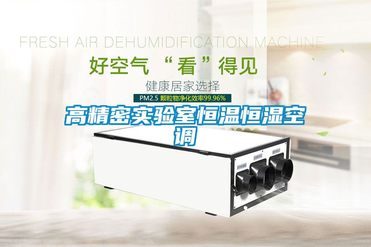 高精密實(shí)驗室恒溫恒濕空調
