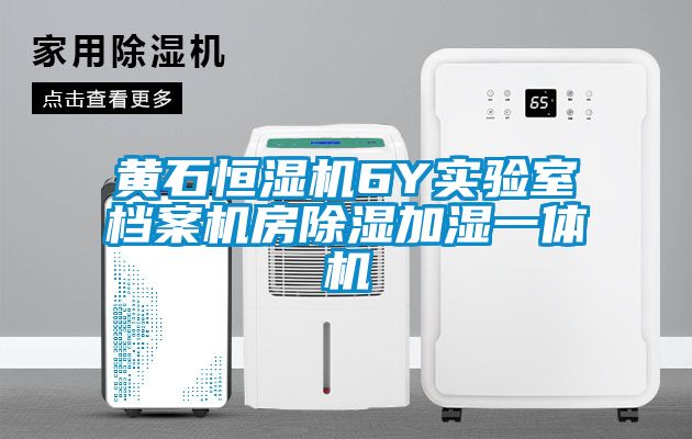 黃石恒濕機6Y實(shí)驗室檔案機房除濕加濕一體機
