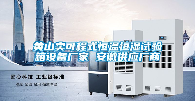 黃山賣(mài)可程式恒溫恒濕試驗箱設備廠(chǎng)家 安徽供應廠(chǎng)商