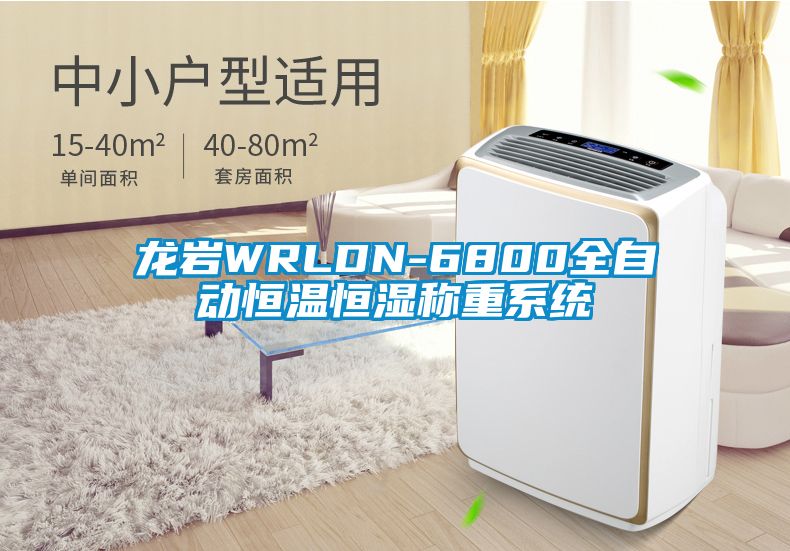 龍巖WRLDN-6800全自動(dòng)恒溫恒濕稱(chēng)重系統