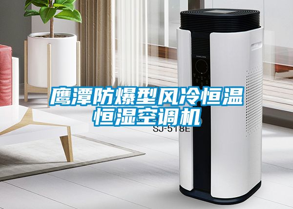 鷹潭防爆型風(fēng)冷恒溫恒濕空調機