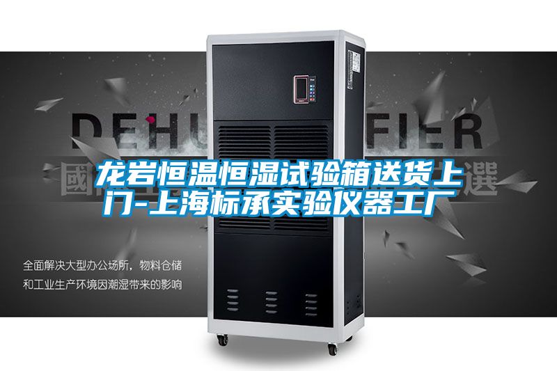龍巖恒溫恒濕試驗箱送貨上門(mén)-上海標承實(shí)驗儀器工廠(chǎng)